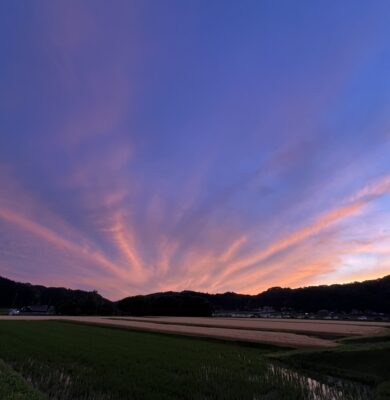 0E0623F4 052F 4962 B748 E82E9D56FBC4 | 有限会社レンタックス