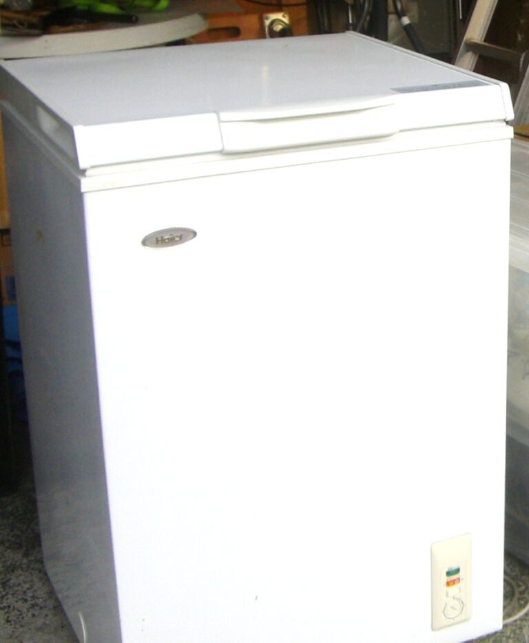 ennichi freezer 01 | 有限会社レンタックス
