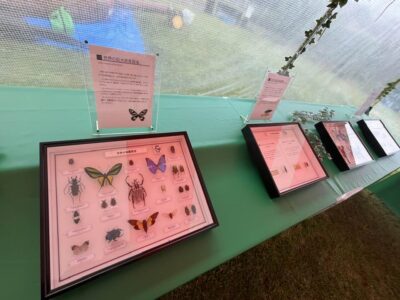 housing insect | 有限会社レンタックス